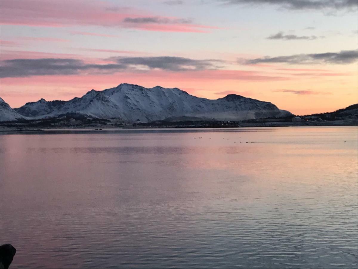 Lofoten Havfiske Лекнес Екстериор снимка